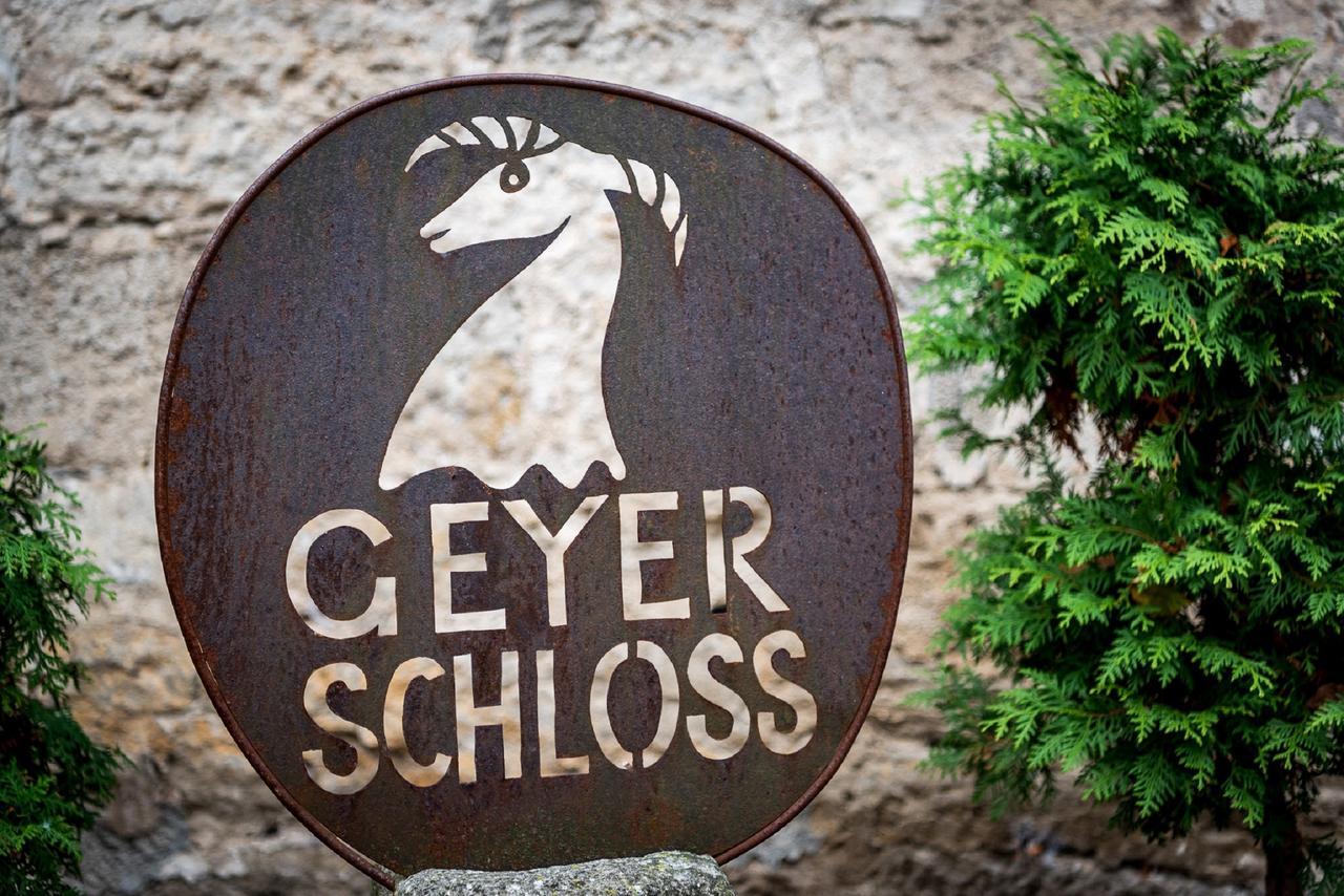Geyer-Schloss Reinsbronn 克雷格林根 外观 照片